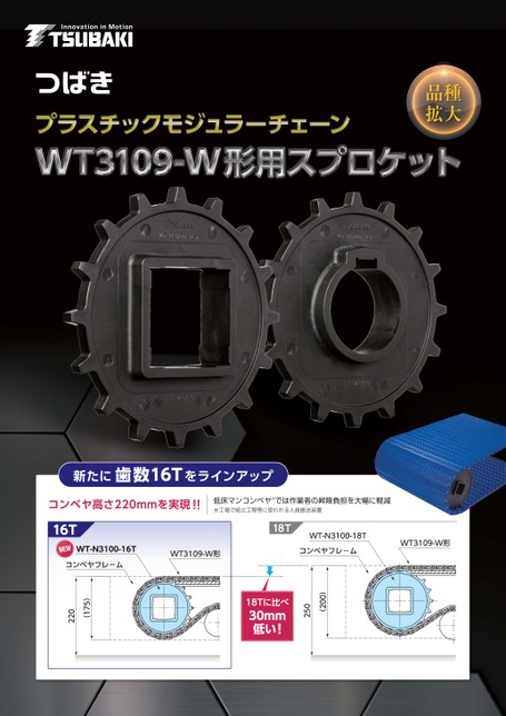 WT3109-W型塑膠模組鏈條用鏈輪