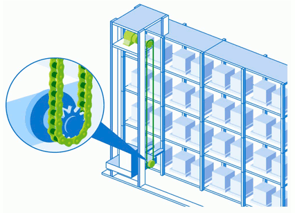 高溫高濕的自動倉庫 (蘑菇栽培)